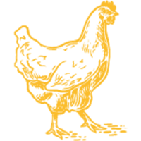 Chicken icon yellow